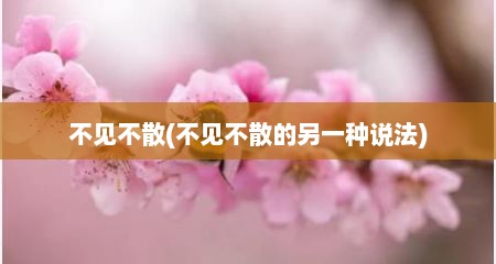 不见不散(不见不散的另一种说法)