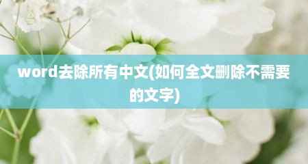 word去除所有中文(如何全文删除不需要的文字)