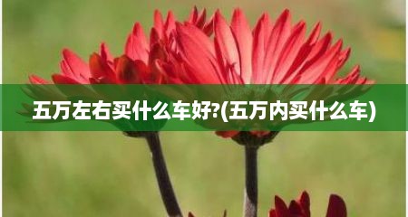 五万左右买什么车好?(五万内买什么车)