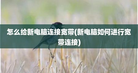 怎么给新电脑连接宽带(新电脑如何进行宽带连接)