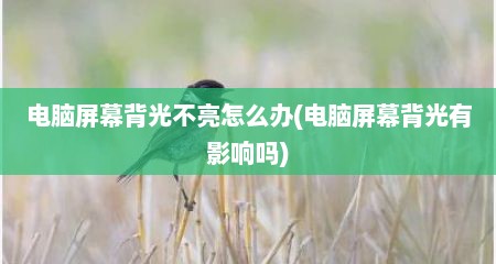 电脑屏幕背光不亮怎么办(电脑屏幕背光有影响吗)