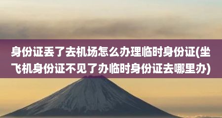 身份证丢了去机场怎么办理临时身份证(坐飞机身份证不见了办临时身份证去哪里办)