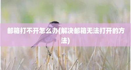 邮箱打不开怎么办(解决邮箱无法打开的方法)