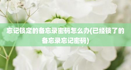 忘记锁定的备忘录密码怎么办(已经锁了的备忘录忘记密码)