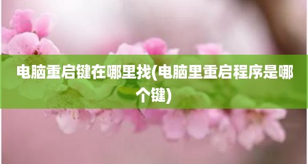 电脑重启键在哪里找(电脑里重启程序是哪个键)