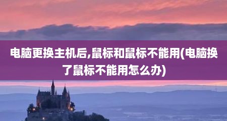 电脑更换主机后,鼠标和鼠标不能用(电脑换了鼠标不能用怎么办)