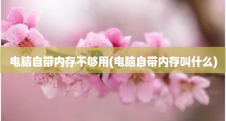 电脑自带内存不够用(电脑自带内存叫什么)