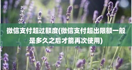 微信支付超过额度(微信支付超出限额一般是多久之后才能再次使用)