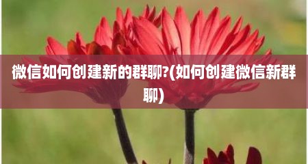微信如何创建新的群聊?(如何创建微信新群聊)