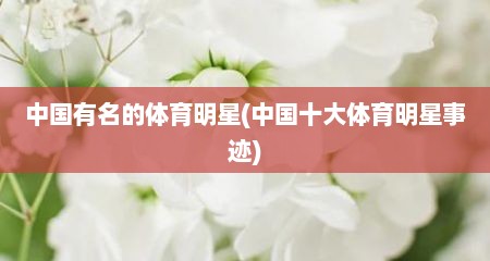 中国有名的体育明星(中国十大体育明星事迹)