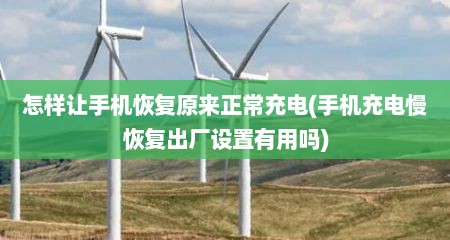 怎样让手机恢复原来正常充电(手机充电慢恢复出厂设置有用吗)