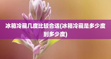 冰箱冷藏几度比较合适(冰箱冷藏是多少度到多少度)