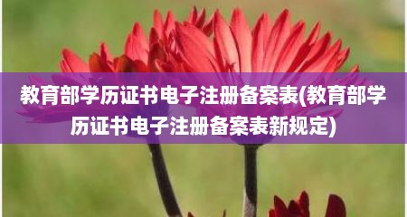 教育部学历证书电子注册备案表(教育部学历证书电子注册备案表新规定)