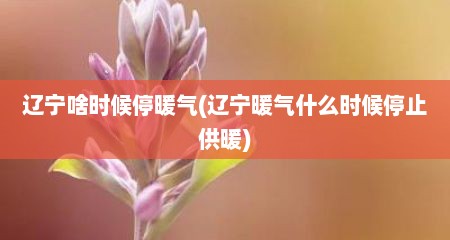 辽宁啥时候停暖气(辽宁暖气什么时候停止供暖)