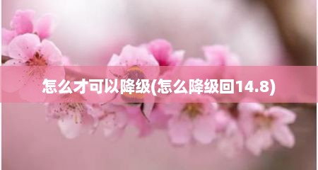 怎么才可以降级(怎么降级回14.8)