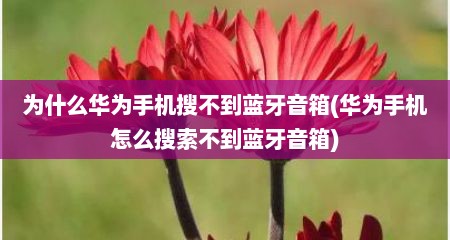 为什么华为手机搜不到蓝牙音箱(华为手机怎么搜索不到蓝牙音箱)