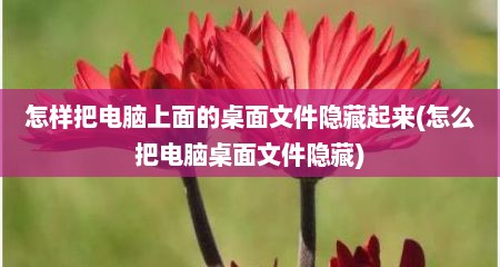 怎样把电脑上面的桌面文件隐藏起来(怎么把电脑桌面文件隐藏)