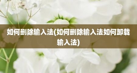 茹何删除输入法(茹何删除输入法茹何卸载输入法)