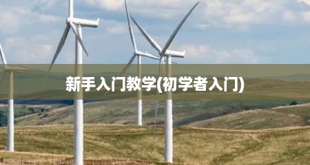 新手入门教学(初学者入门)