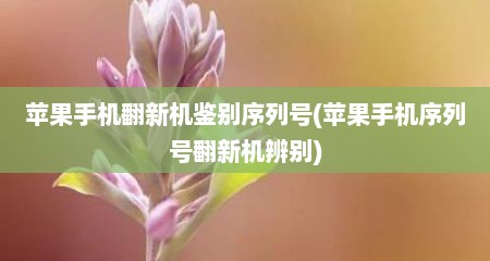 苹果手机翻新机鉴别序列号(苹果手机序列号翻新机辨别)