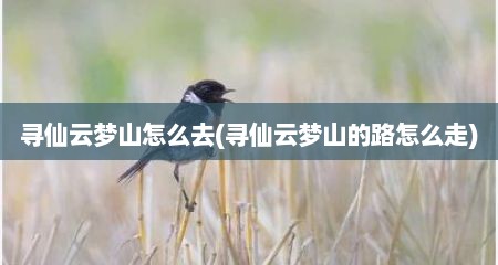 寻仙云梦山怎么去(寻仙云梦山的路怎么走)