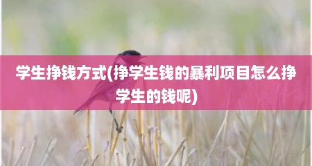 学生挣钱方式(挣学生钱的暴利项目怎么挣学生的钱呢)