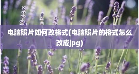 电脑照片如何改格式(电脑照片的格式怎么改成jpg)