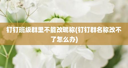 钉钉班级群里不能改昵称(钉钉群名称改不了怎么办)