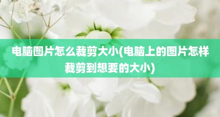 电脑图片怎么裁剪大小(电脑上的图片怎样裁剪到想要的大小)