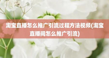 淘宝直播怎么推广引流过程方法视频(淘宝直播间怎么推广引流)