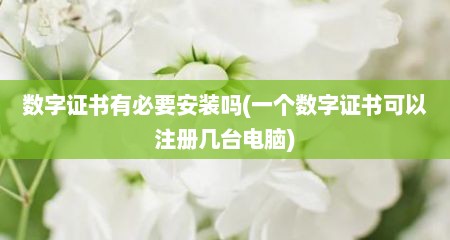 数字证书有必要安装吗(一个数字证书可以注册几台电脑)