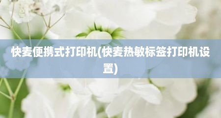 快麦便携式打印机(快麦热敏标签打印机设置)