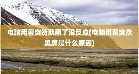 电脑用着突然就黑了没反应(电脑用着突然黑屏是什么原因)
