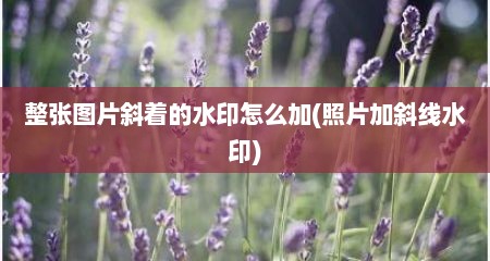 整张图片斜着的水印怎么加(照片加斜线水印)