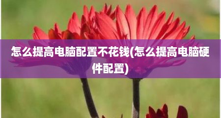怎么提高电脑配置不花钱(怎么提高电脑硬件配置)