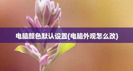 电脑颜色默认设置(电脑外观怎么改)
