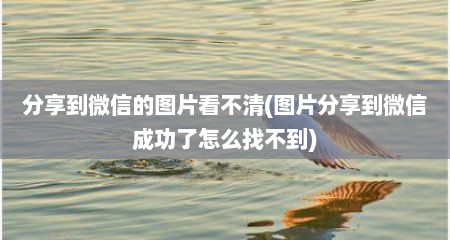 分享到微信的图片看不清(图片分享到微信成功了怎么找不到)