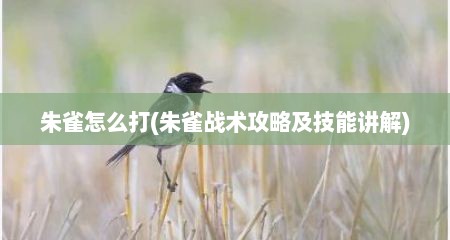 朱雀怎么打(朱雀战术攻略及技能讲解)