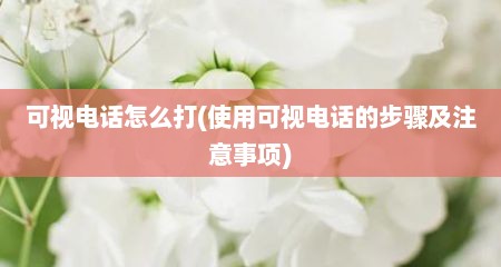 可视电话怎么打(使用可视电话的步骤及注意事项)