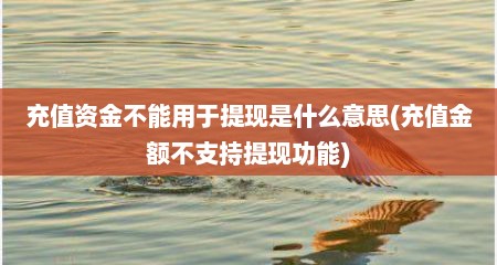 充值资金不能用于提现是什么意思(充值金额不支持提现功能)