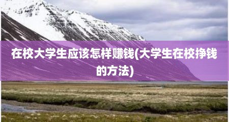 在校大学生应该怎样赚钱(大学生在校挣钱的方法)