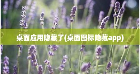 桌面应用隐藏了(桌面图标隐藏app)