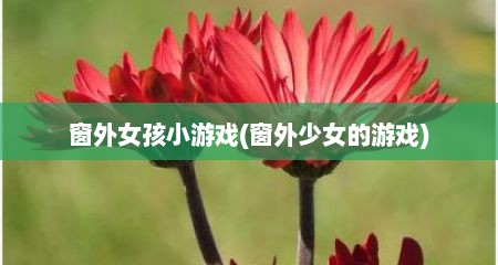 窗外女孩小游戏(窗外少女的游戏)