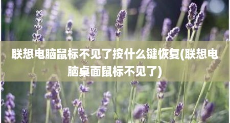 联想电脑鼠标不见了按什么键恢复(联想电脑桌面鼠标不见了)