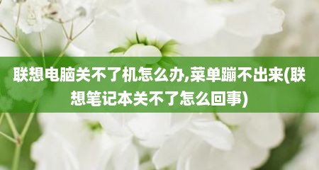 联想电脑关不了机怎么办,菜单蹦不出来(联想笔记本关不了怎么回事)