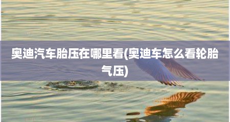 奥迪汽车胎压在哪里看(奥迪车怎么看轮胎气压)