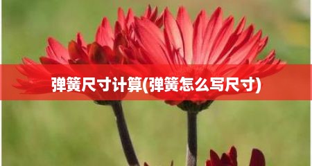 弹簧尺寸计算(弹簧怎么写尺寸)