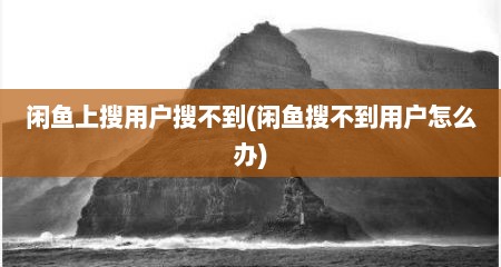 闲鱼上搜用户搜不到(闲鱼搜不到用户怎么办)
