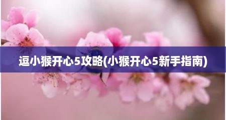 逗小猴开心5攻略(小猴开心5新手指南)