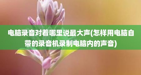 电脑录音对着哪里说最大声(怎样用电脑自带的录音机录制电脑内的声音)